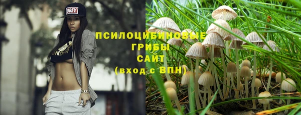 ешки Богородицк